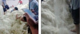 china-noodles-factory