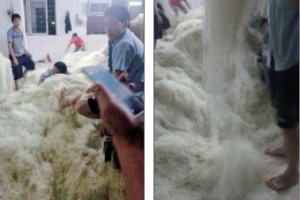 china-noodles-factory