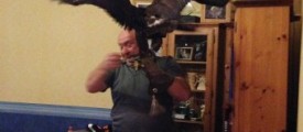 eagle-hous