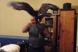 eagle-hous