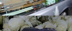 leoseman