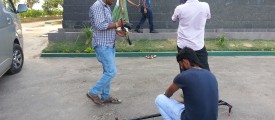 thevasena