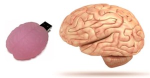 brain5