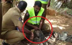 mugamalai