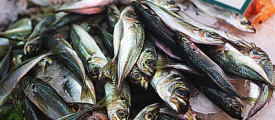 fischmarkt