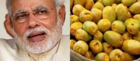 modi-mango35-600