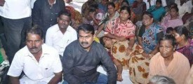 seeman-fisher