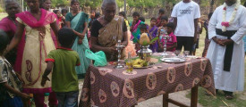 pungu9