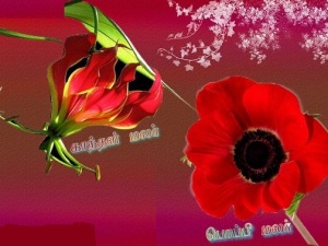 flowers