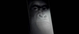 gorilla_glass_001