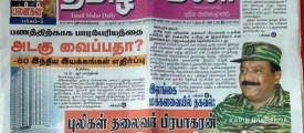 malsizaa-News