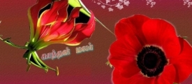 powfi_flower3
