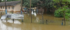 vellam