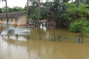 vellam